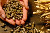 free Thrumster biomass boiler quotes