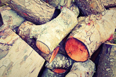 Thrumster wood burning boiler costs